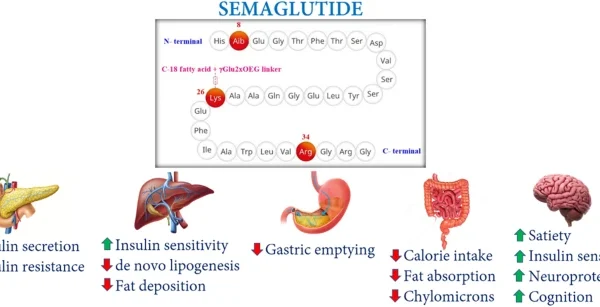 Semaglutide uses